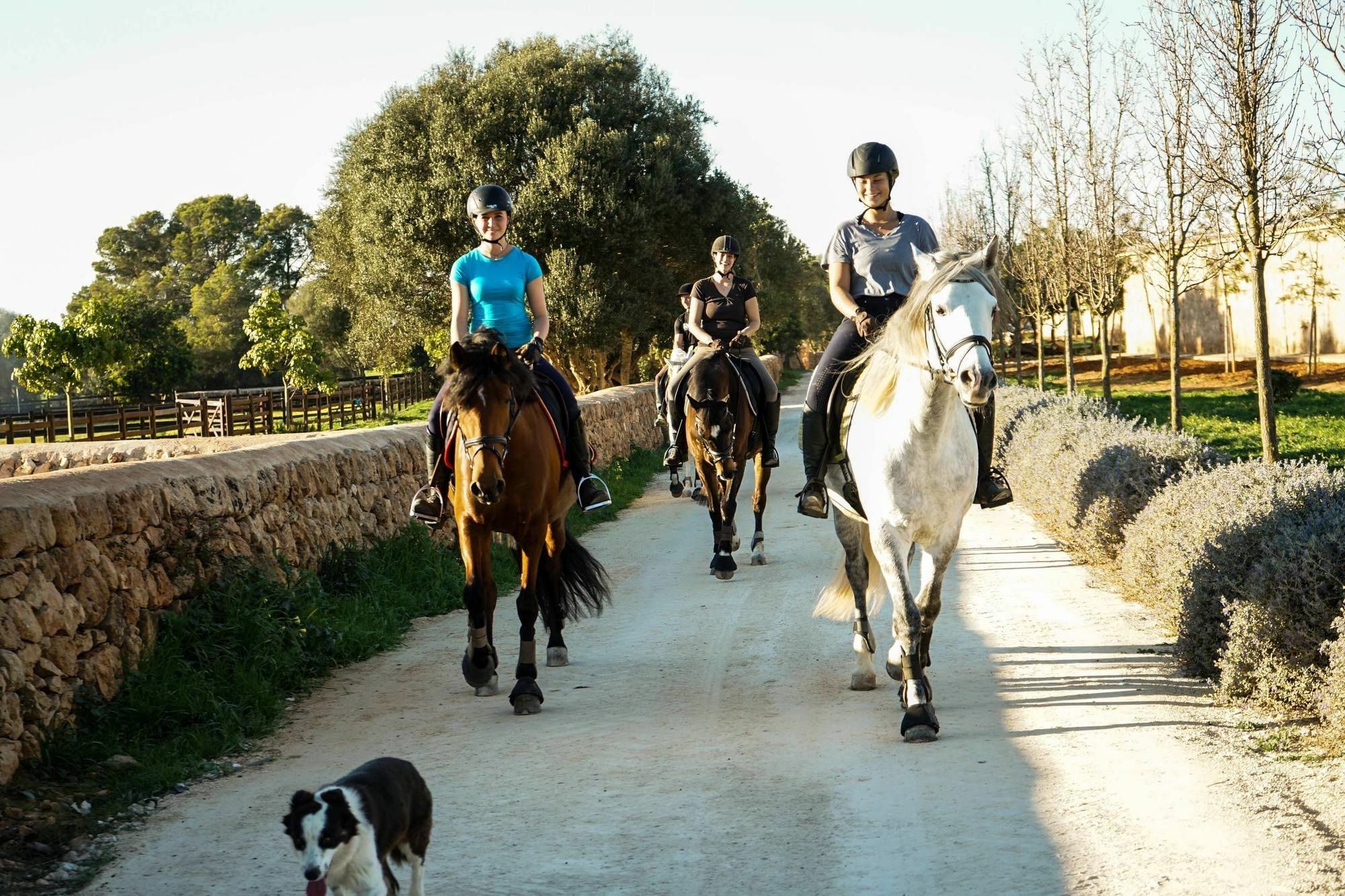 Vmg Horse Ranch (Adults Only) Villa Llucmajor Kültér fotó