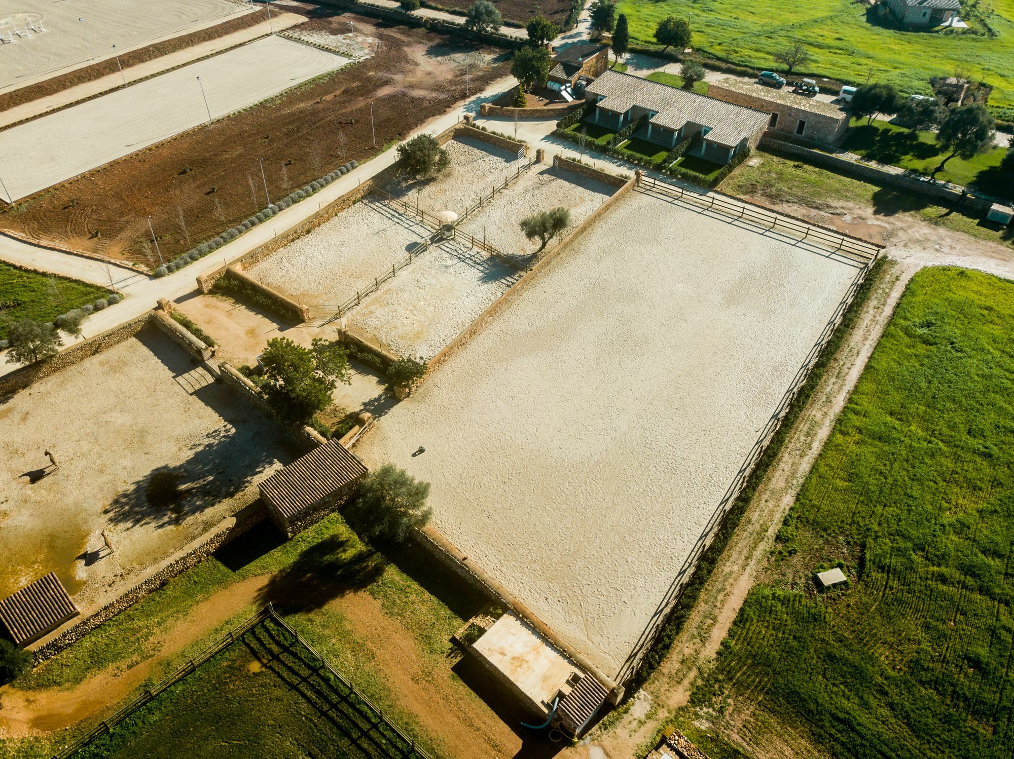 Vmg Horse Ranch (Adults Only) Villa Llucmajor Kültér fotó